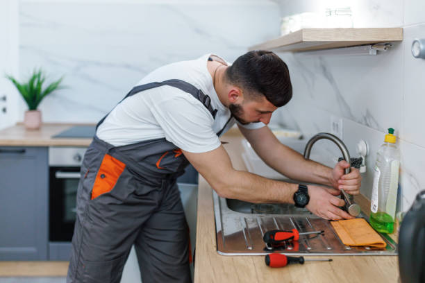 Best Plumbing Inspection Services  in Zimmerman, MN