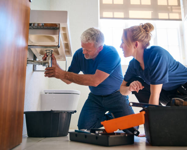 Best Commercial Plumbing Services  in Zimmerman, MN